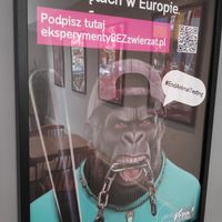  at Lokal Vegan Bistro in Warsaw