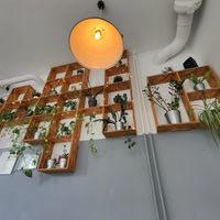  at Lokal Vegan Bistro in Warsaw