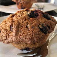 vegan muffins at Soma in Sydney