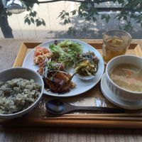 Vegetarian burger menu at Gaia - Ochanomizu Branch in Tokyo