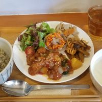 vegan lunch (labeled vegan on the menu in English) of fake karaage, rice, soup, salad with sesame dressing, pasta salad, carrot salad, and lotus root mixed vegetables with hot tea at Gaia - Ochanomizu Branch in Tokyo