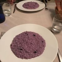 Risotto Mirtilli Pernod at BioRiso in Milan
