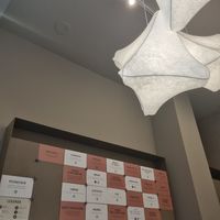 Flavours with the green mark are vegan at Ciacco Gelato Senz'altro in Milan