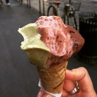 Pistachio, massa di cacao, fig!  at Ciacco Gelato Senz'altro in Milan