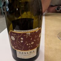 Clearly labelled vegan wine at Sanus in Fuerteventura