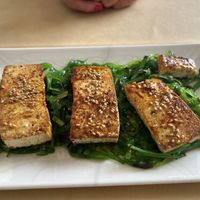   at Sanus in Fuerteventura