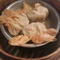 Dumplings  at Bodhi in Sydney