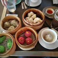 dumplings and bbq buns at Bodhi in Sydney