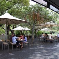 Bodhi at Bodhi in Sydney