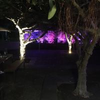 Ambience!  at Bodhi in Sydney