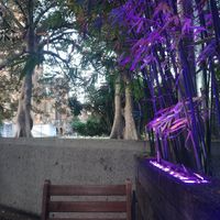 view from a table at Bodhi in Sydney