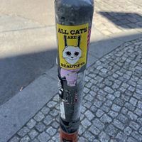   at Velicious in Berlin