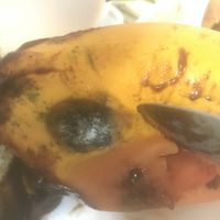 Papaya with mould  at Vegetariano Social Clube Delivery in Rio De Janeiro