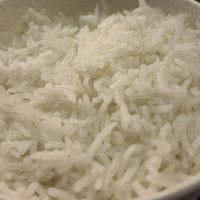 Fluffy boiled rice   at Prashad in Bradford