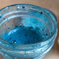   at Eternal Abundance in Vancouver