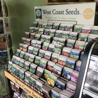 Seed!  at Eternal Abundance in Vancouver