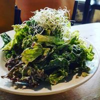 Phenomenal Kale Caesar Salad at Eternal Abundance in Vancouver