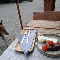 Brownie at Bindicafe in Amersfoort