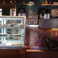 Counter at Nanoosh in Berlin