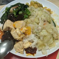 Four choices - so much food!! at Five Insights Hall 五观食堂 in Central Singapore