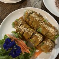 Delicious summer rolls with peanut sauce   at La Carotte Qui Rit in Koh Tao