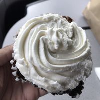 Chocolate cupcake was good but I didn’t like the icing  at Mother Fool's Coffeehouse in Madison
