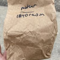 Raisins   at Mother Fool's Coffeehouse in Madison