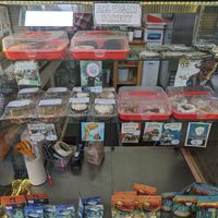 Pastry selection at Mother Fool's Coffeehouse in Madison