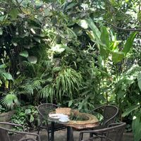 One of the many outdoor tables  at Soya Nutribar in San Salvador