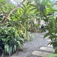 Seating area  at Soya Nutribar in San Salvador