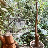 Seating area  at Soya Nutribar in San Salvador