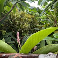 Jardim  at Vegan Vegan in Rio De Janeiro