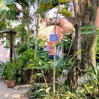   at Vegan Vegan in Rio De Janeiro