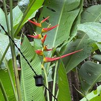   at Vegan Vegan in Rio De Janeiro