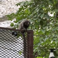   at Vegan Vegan in Rio De Janeiro