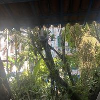   at Vegan Vegan in Rio De Janeiro