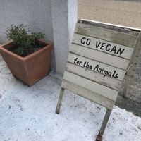   at Hiruneko Shokudou in Itoshima