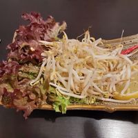 Bean sprouts for Pho at Markt 28 in Kaiserslautern