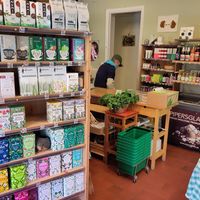 Store at Tant Gurka in Lund