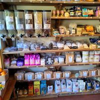 Store at Tant Gurka in Lund