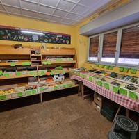 Fresh vegs at Biocoop G'sundheit in Selestat