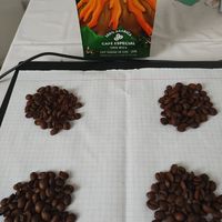 The Expresso café is back... at Baruc Natural in Florianopolis