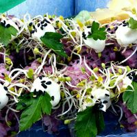 Sushi at The Root in Wroclaw