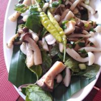 Laab hed ( mushrooms) at Lin's Cafe in Savannakhet
