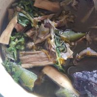 Gaeng noor mai ... Delicious at Lin's Cafe in Savannakhet