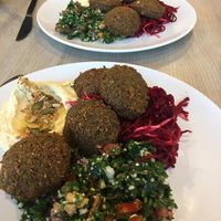 Falafel and hummus  at Veggie Garden in Prague