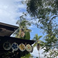Garden  at Chaba Cafe and Gallery in Koh Yao Noi