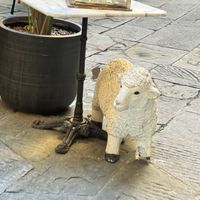   at Quinoa in Florence