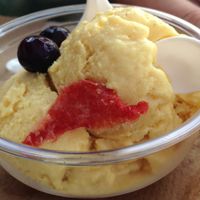 sorbet at Fancy I Naturals in Pompano Beach