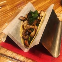 Best best mushroom taco ever.  at China Poblano in Las Vegas